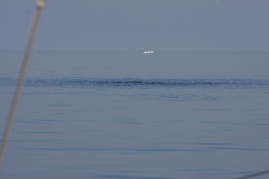 ./20111014-093348.jpg