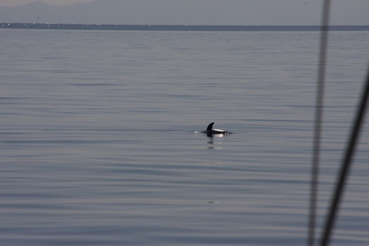 ./20111014-093642.jpg