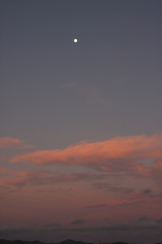 ./20111015-053115.jpg