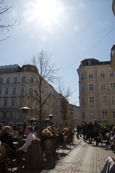 ./20080419-130041.jpg