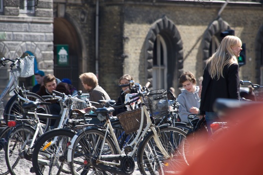 ./20080419-133253.jpg