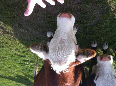 ./20110525-174255.jpg