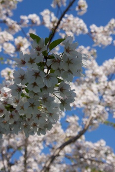 ./20110425-140834.jpg