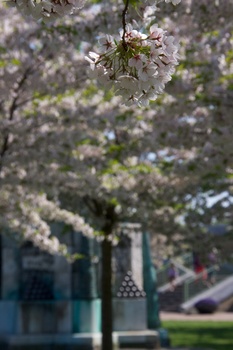 ./20110425-140937.jpg