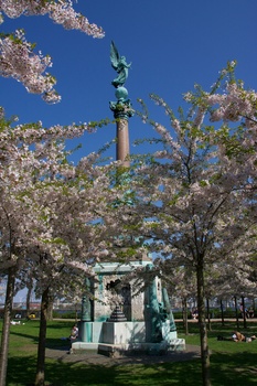 ./20110425-141230.jpg