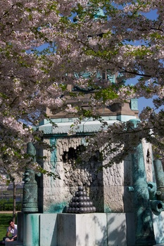 ./20110425-141247.jpg