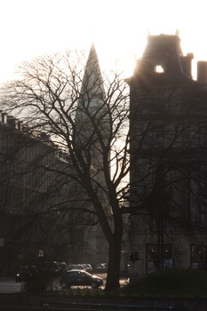 ./20080307-073935.jpg