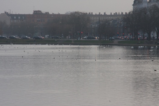 ./20080307-073957.jpg