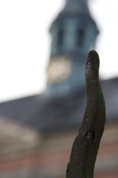 ./20080307-075050.jpg