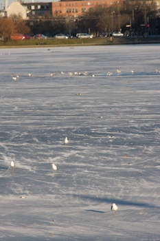./20090102-135542.jpg