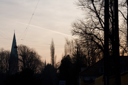 ./20090111-152350.jpg