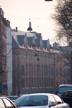 ./20090111-152402.jpg