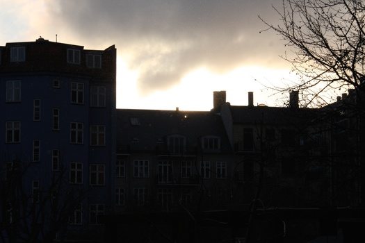 ./20090201-154337.jpg