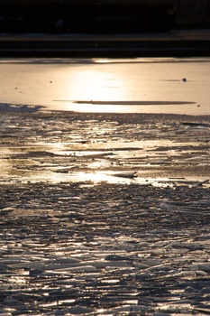 ./20090201-155606.jpg