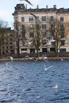 ./20090208-134115.jpg