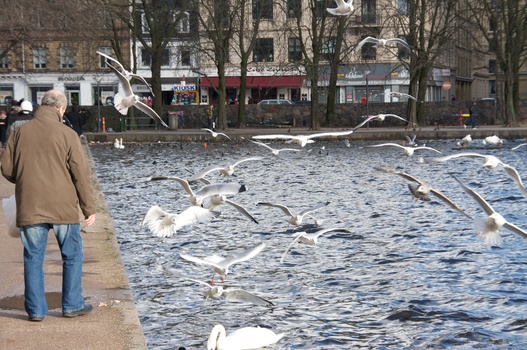 ./20090208-134118.jpg