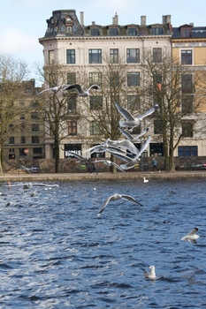 ./20090208-134125.jpg