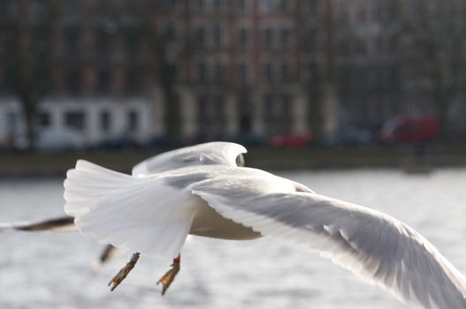 ./20090208-134149.jpg