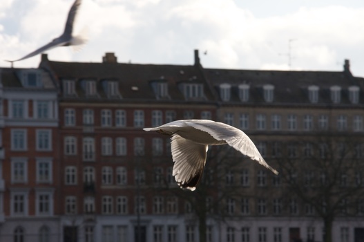 ./20090208-134207.jpg