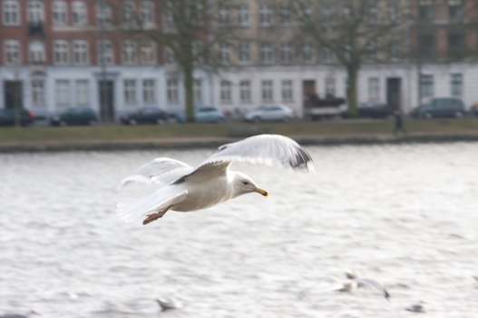 ./20090208-134220.jpg