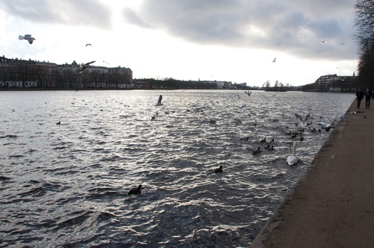 ./20090208-134317.jpg
