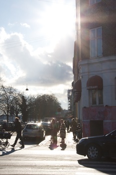 ./20090208-141320.jpg