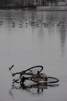 ./20090215-112829.jpg