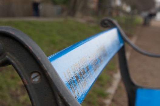 ./20090215-113310.jpg