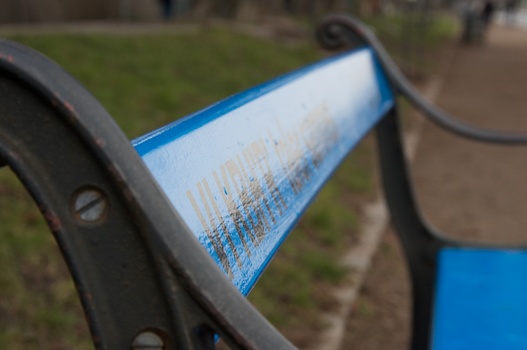 ./20090215-113315.jpg