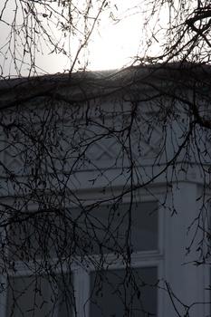 ./20090215-113624.jpg