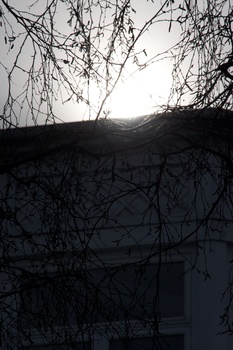 ./20090215-113645.jpg