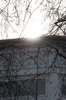 ./20090215-113718.jpg