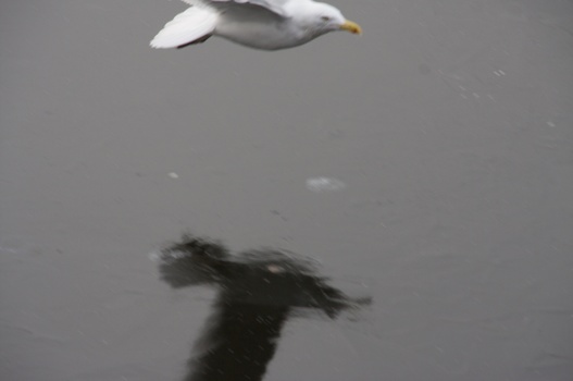 ./20090215-115039.jpg