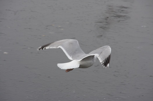 ./20090215-115041.jpg