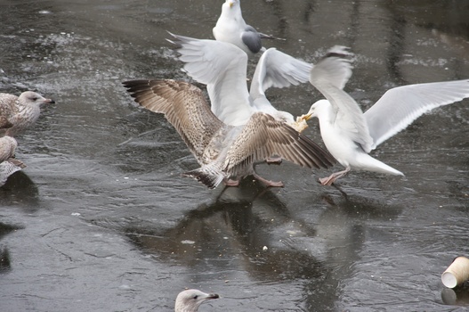 ./20090215-115157.jpg