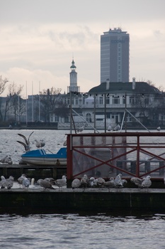 ./20090308-153733.jpg
