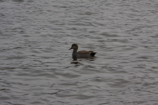 ./20090308-154044.jpg
