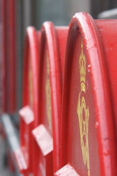 ./20090308-154404.jpg